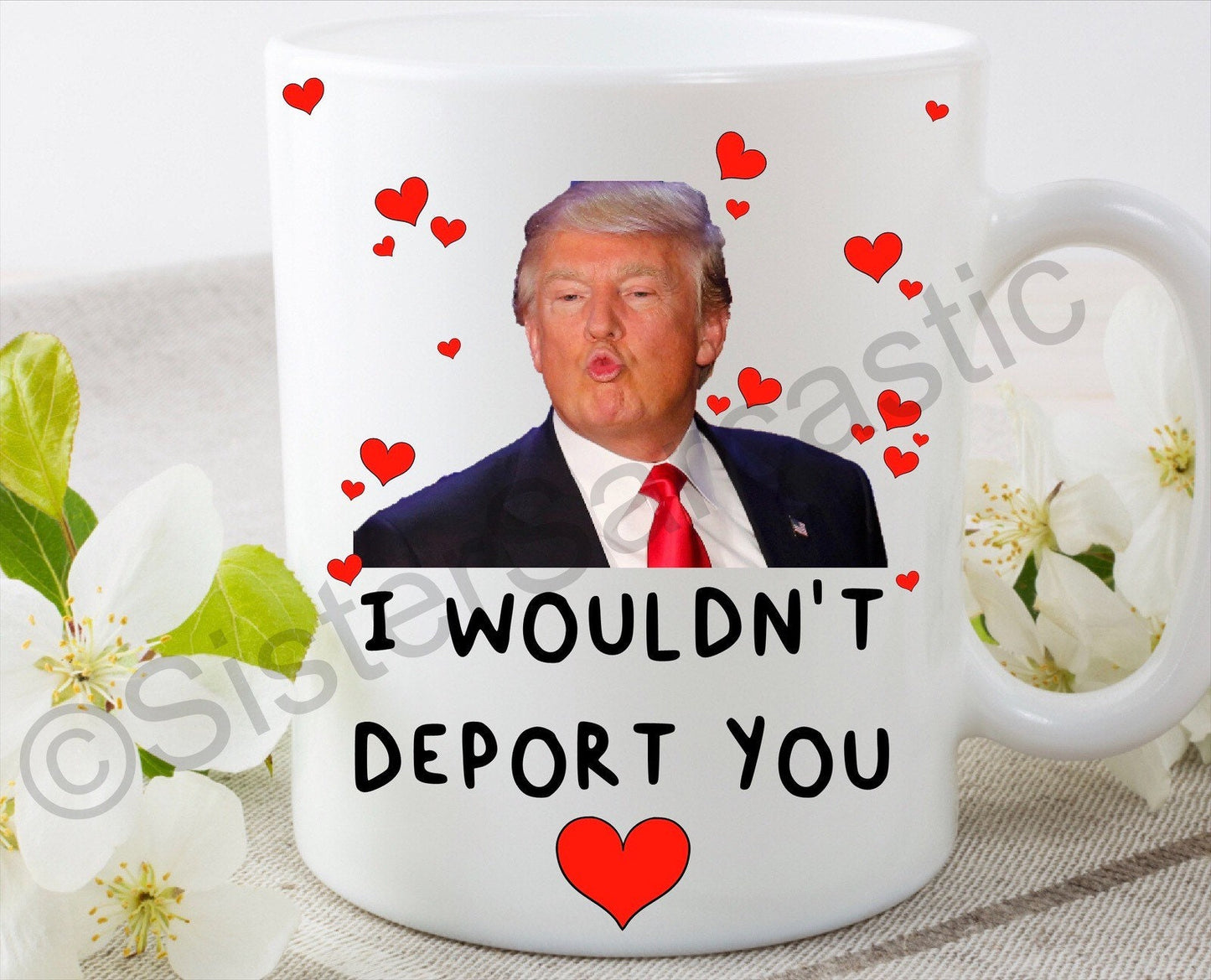 I wouldn’t deport you Donald Trump rude funny 11oz white mug cup perfect present for boyfriend girlfriend partner birthday Christmas gift