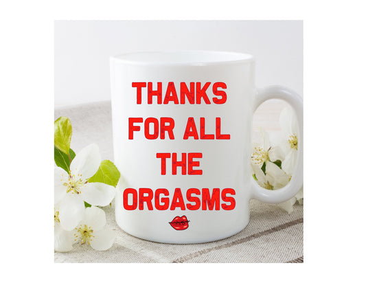 Valentine’s Day Thanks for all the orgasms mug cup birthday present Christmas gift for him for her Boyfriend Husband Partner Novelty